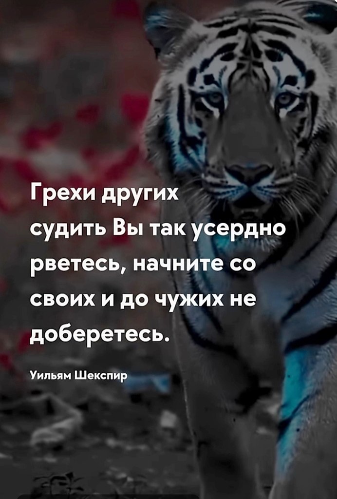   - 14  2025  18:08
