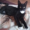 ���� ����, ������ - ��������� 2 ������� 2025 � ������ ���� ����������