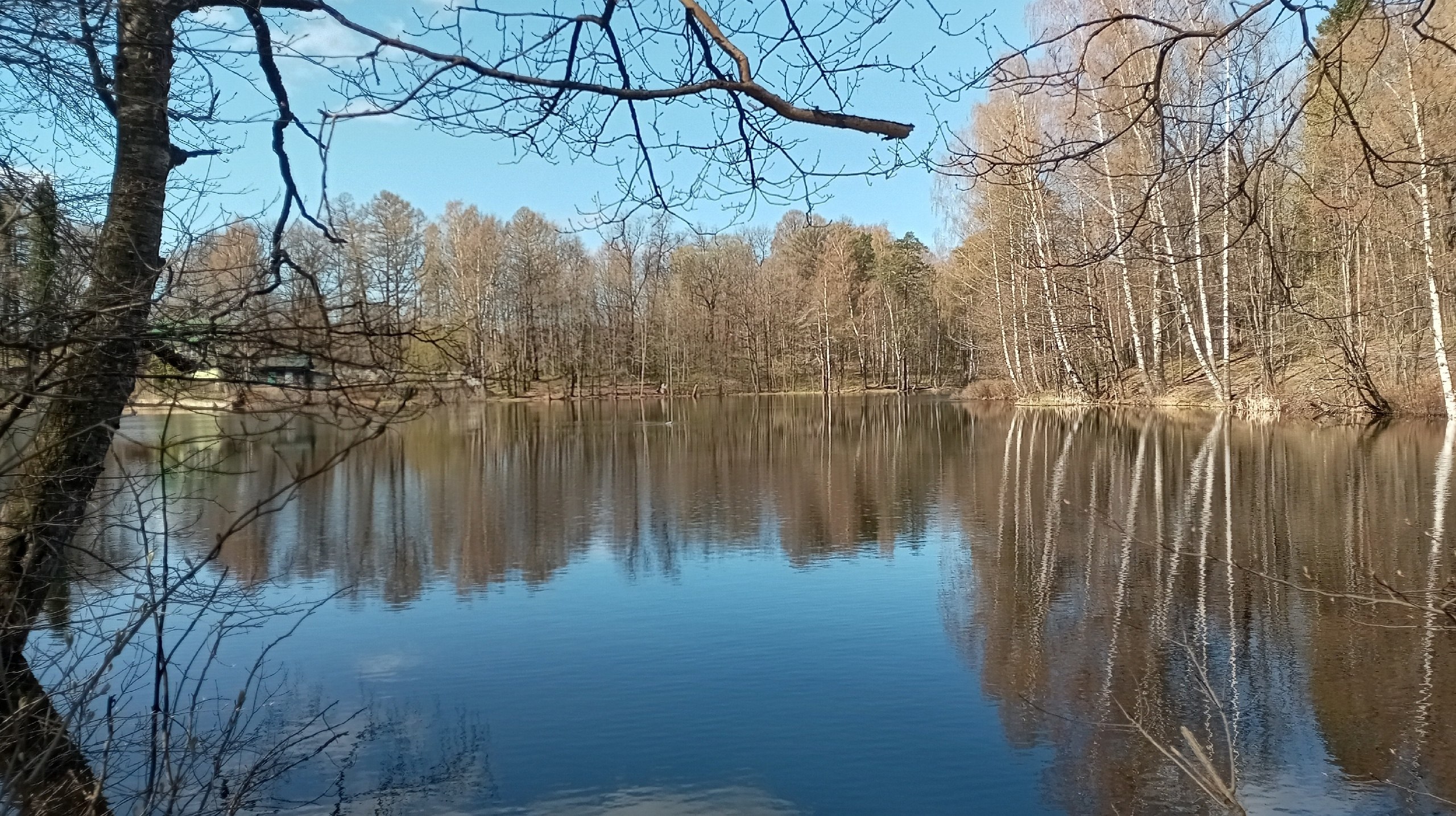   - 1  2025  13:39 - 8