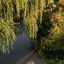 ���� ������, ������ - ��������� 11 �������� 2025