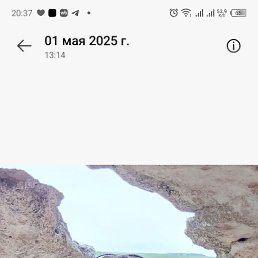 , 51, 
