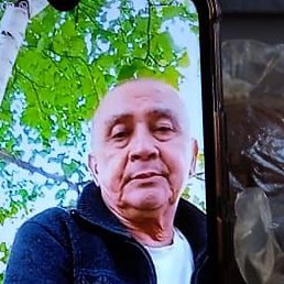 ����, ������, 66 ���