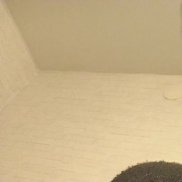 ������, 20 ���, ���������