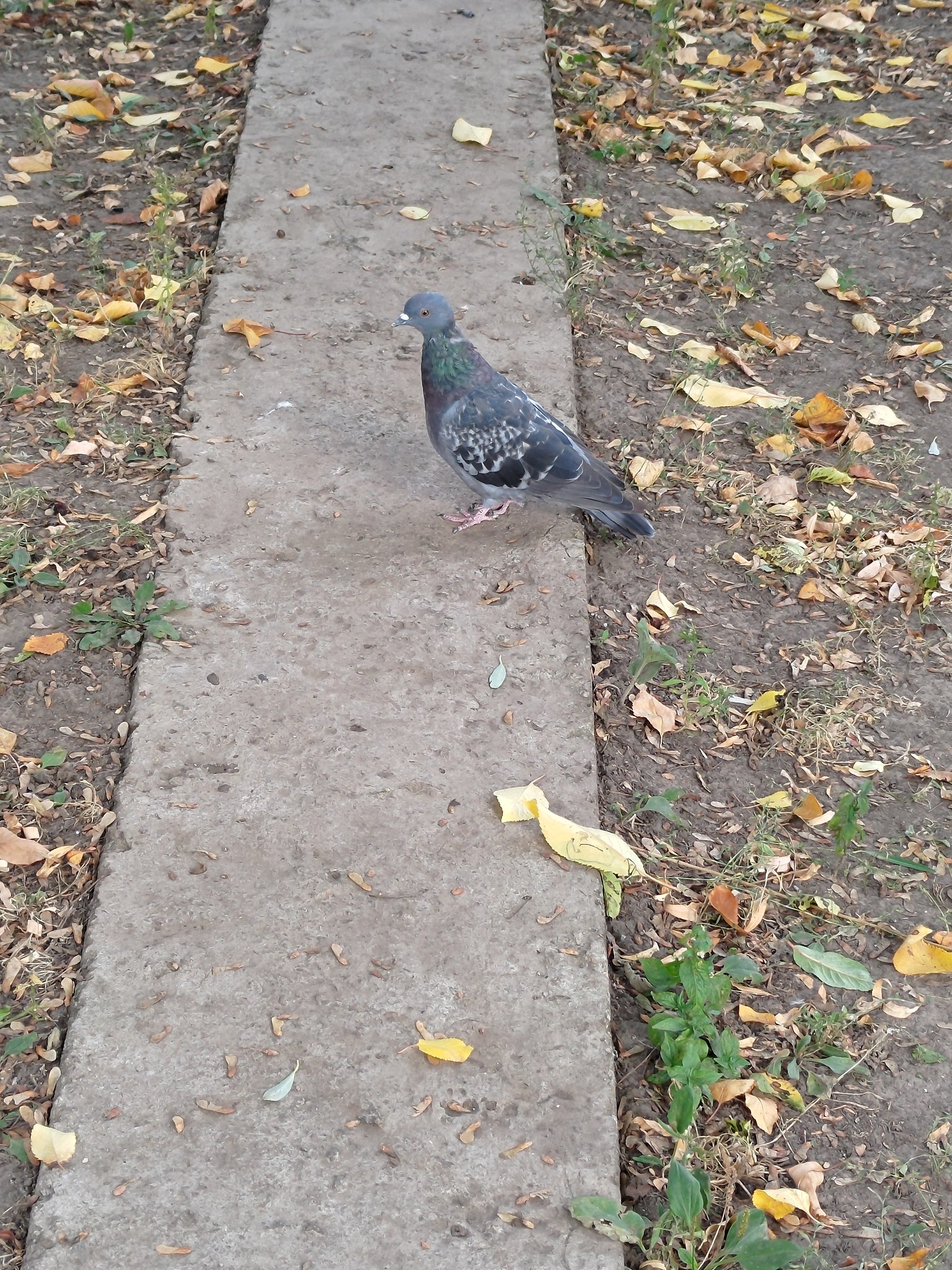 Наталия - 24 сентября 2025 в 20:17