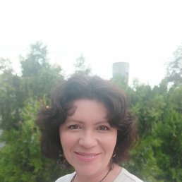 , 53, 