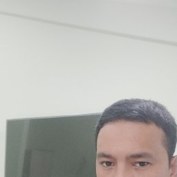 , 37, 