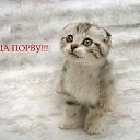 ���� �����, ��������� - ��������� 1 ����� 2026 � ������ ������ ��������