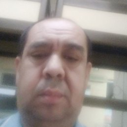 ���, �����-���������, 49 ���