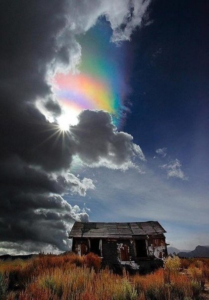 Фёдор Тютчев — «Как неожиданно и ярко...».Как неожиданно и ярко,На влажной неба синеве,Воздушная ...