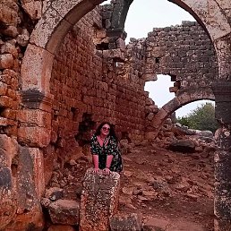 �����, �����������, 37 ���