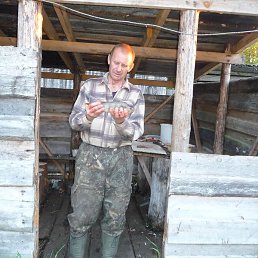 ������, �����-���������, 48 ���