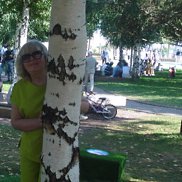 �����, 66 ���, ���������