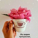 ���� ��������, ������, 72 ���� - ��������� 15 ����� 2026 � ������ ���� ����������