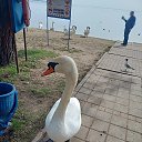  , , 75  -  13  2024    