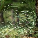 �����... �� ������� �������