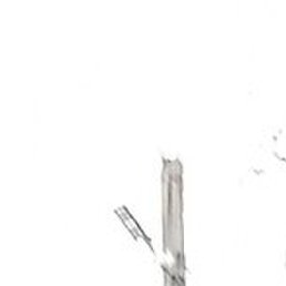 ������, ����, 54 ����