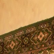 �������, 41 ���, ������