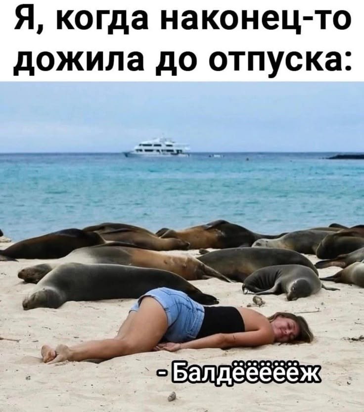   - 19  2025  12:05
