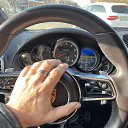 ���� Wolfy, ������ - ��������� 10 ����� 2025 � ������ ���� ����������