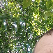 ������, 42 ����, �����������