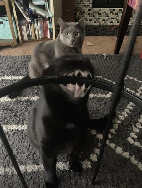 :   .: - 2