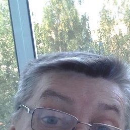 , 52, 
