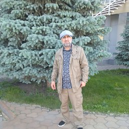 , 44, 