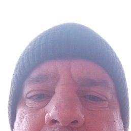  , 51, 