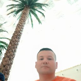 , 37 , 