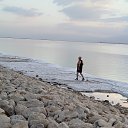 ���� �����, ������, 66 ��� - ��������� 16 �������� 2024 � ������ ���� ����������