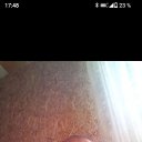 ���� ��������, ������, 50 ��� - ��������� 7 ������ 2026 � ������ ���� ����������