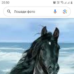 ���� ������, ������, 59 ��� - ��������� 11 ������ 2026