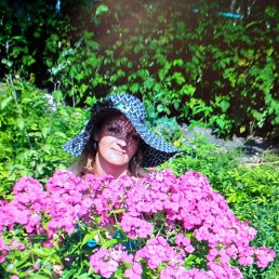 ������, ������, 46 ���