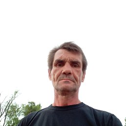 , 53 , 