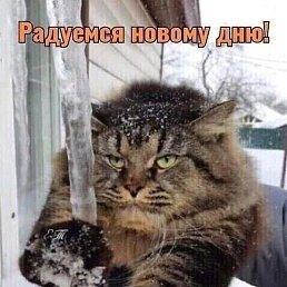 �����, ������, 63 ����