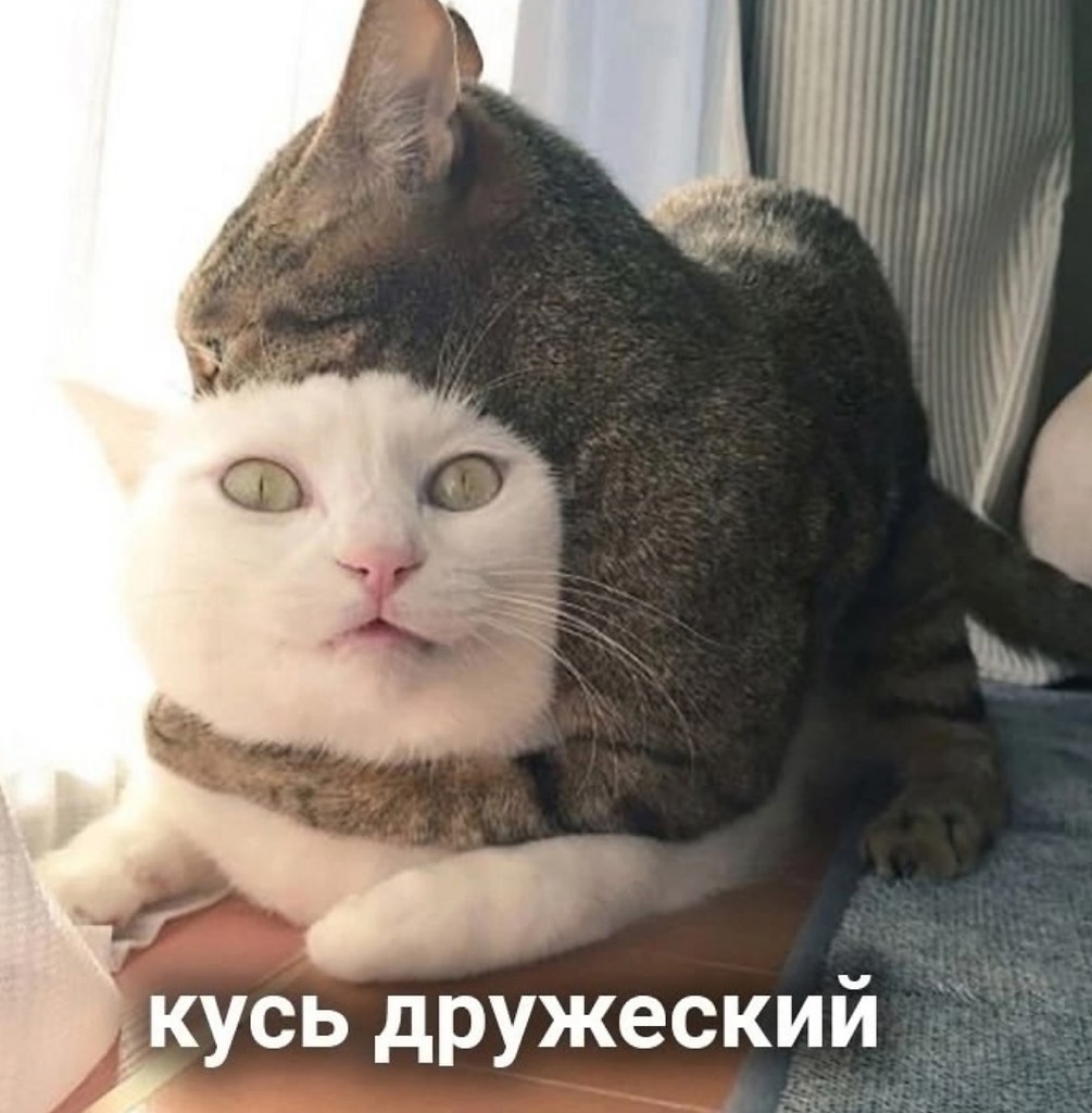 Все кусь прекрасны - 3