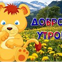 ׸ ,  -  16  2024    