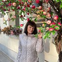 ���� �������, �������, 51 ��� - ��������� 8 ������� 2026 � ������ ���� ����������