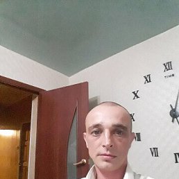 , 41, 