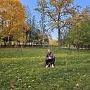 ���� Mr. U, ������� - ��������� 6 ���� 2026 � ������ ���� ����������