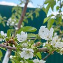 ���� ������, �����-���������, 62 ���� - ��������� 24 �������� 2025 � ������ �������