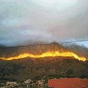 ���� Jovan, ������ - ��������� 8 ������� 2026 � ������ ������ ��������