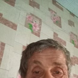 , 61, 