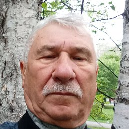 �������, ����-���, 66 ���