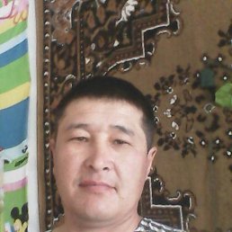 ���� ������, �����������, 48 ��� - ��������� 12 ������� 2026