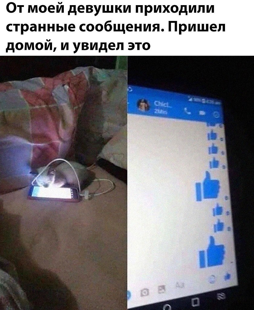    - 21  2025  04:15