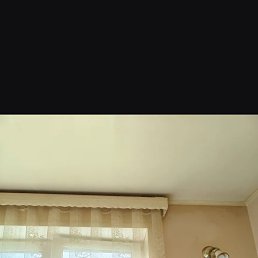 �������, 49 ���, ������