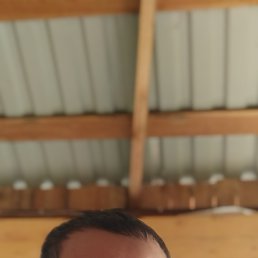 �������, 39 ���, ����-������