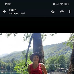 , 51, 