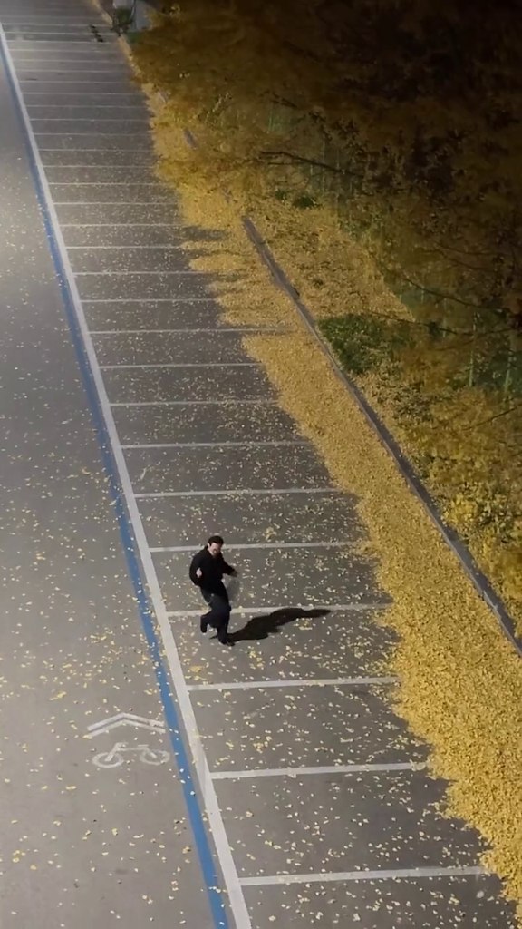 ����������, ����� ������� ��������) - 2